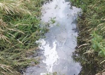 Novi larvicidni tretman komaraca u Samoboru