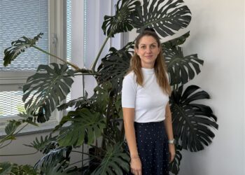 Održavanje gradskog zelenila kroz godišnja doba
