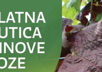 Zlatna žutica ne čeka – suzbijmo je