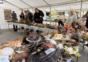 Potpun gljivarski doživljaj